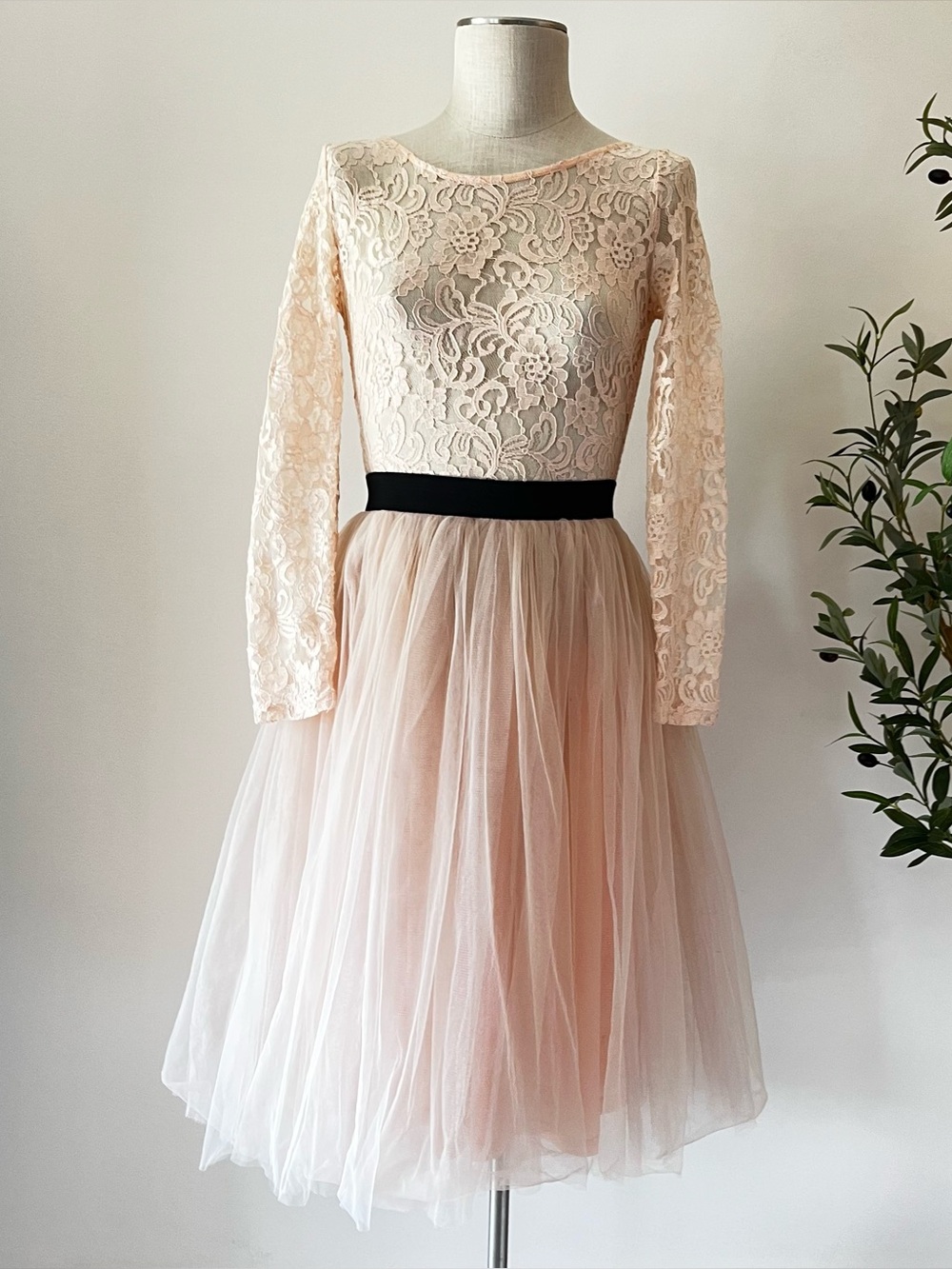 Rare London Blush Lace tulle skirt  Zip-back dress